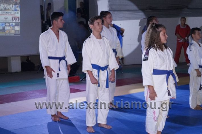 alexandriamou.gr_karate288148