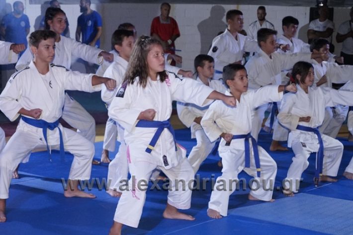 alexandriamou.gr_karate288151