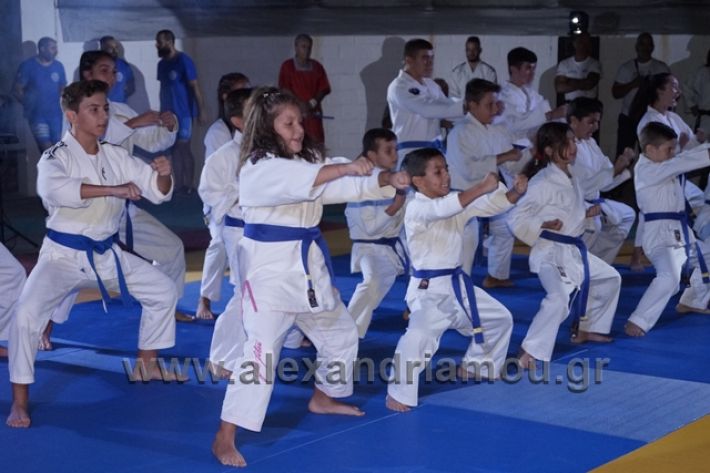 alexandriamou.gr_karate288152