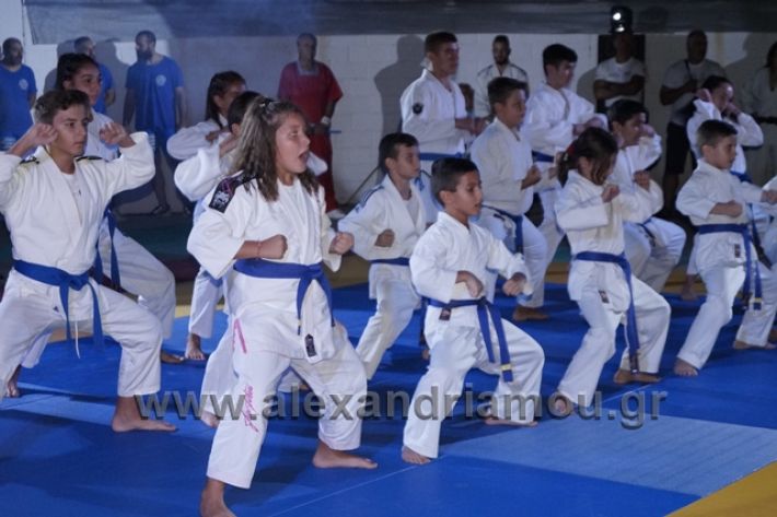 alexandriamou.gr_karate288153