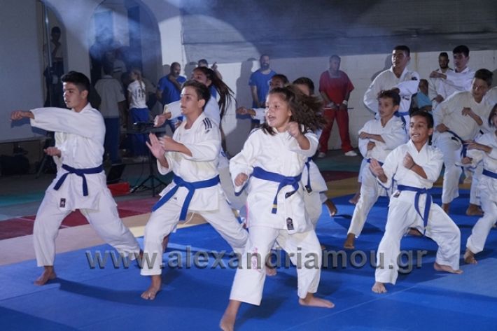 alexandriamou.gr_karate288155