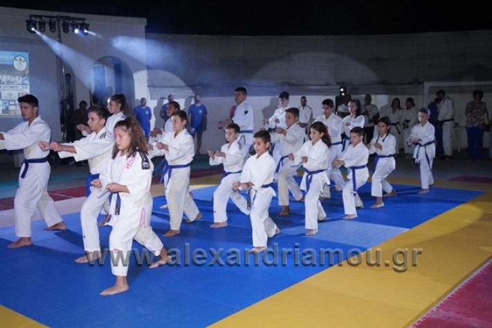 alexandriamou.gr_karate288156