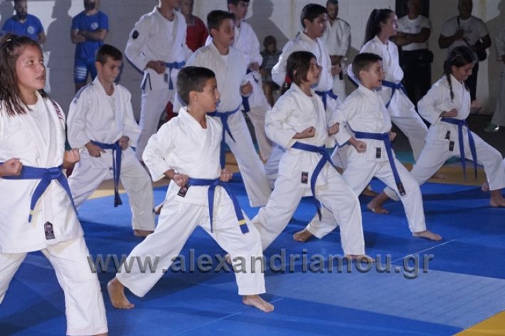 alexandriamou.gr_karate288159