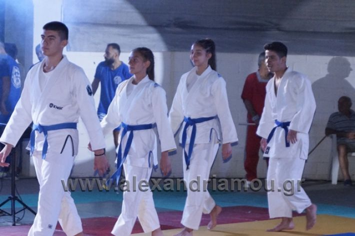 alexandriamou.gr_karate288160