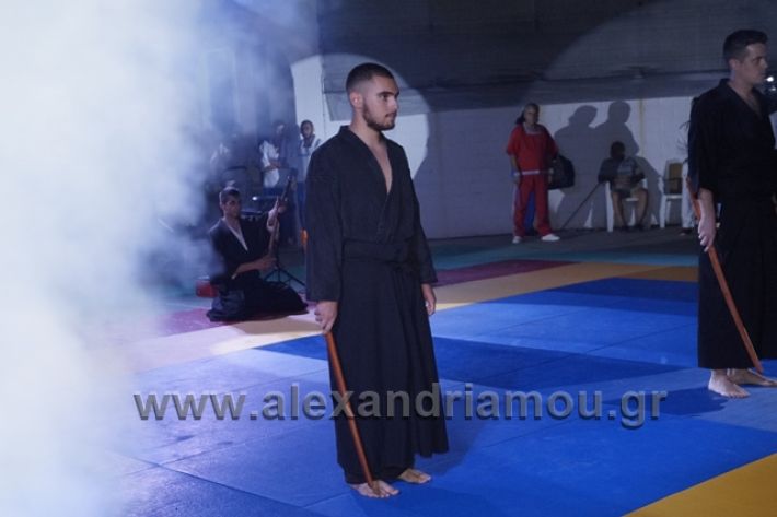 alexandriamou.gr_karate288165