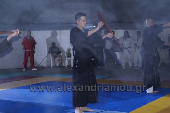 alexandriamou.gr_karate288166