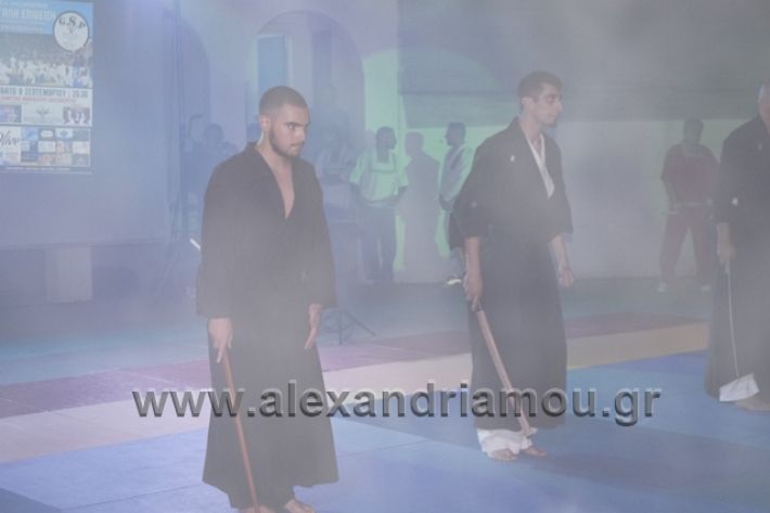 alexandriamou.gr_karate288167