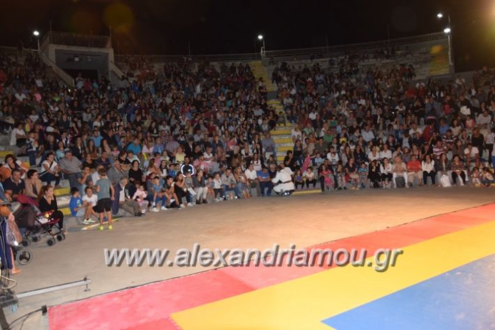 alexandriamou.gr_karate06001