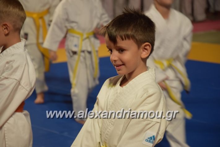 alexandriamou.gr_karate06006