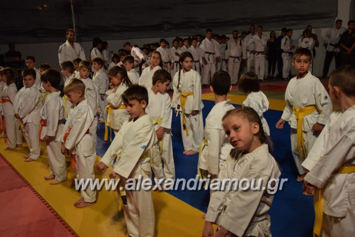 alexandriamou.gr_karate06007