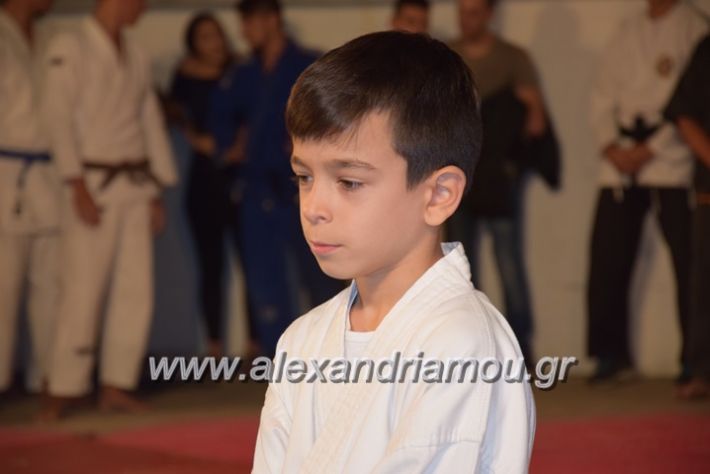 alexandriamou.gr_karate06008