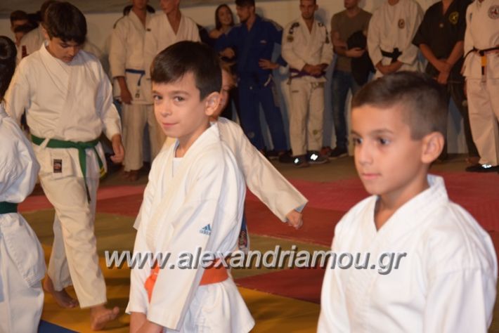 alexandriamou.gr_karate06009