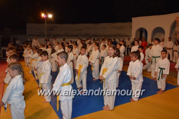 alexandriamou.gr_karate06010