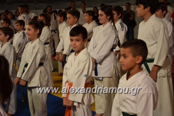 alexandriamou.gr_karate06012