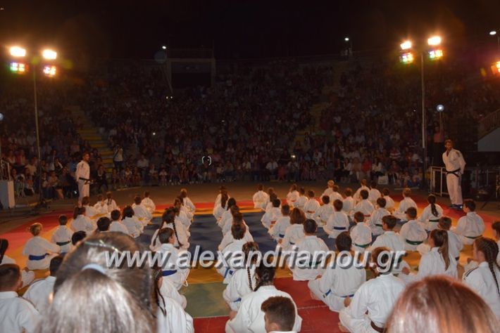 alexandriamou.gr_karate06018