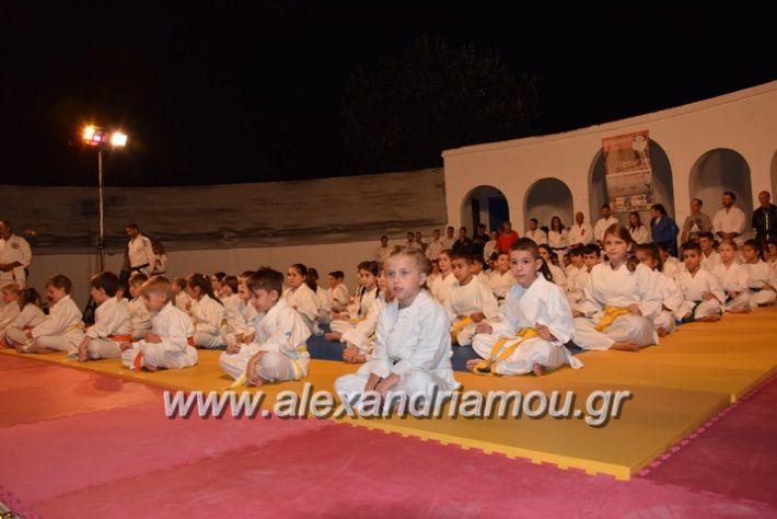 alexandriamou.gr_karate06020