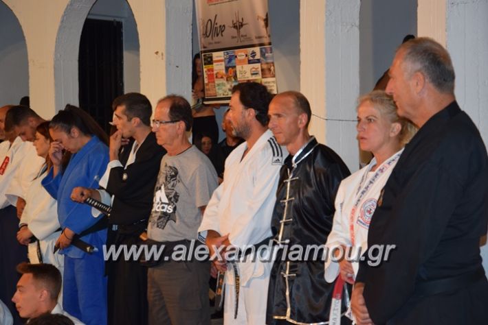 alexandriamou.gr_karate06033