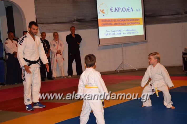 alexandriamou.gr_karate06051