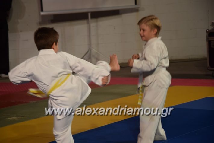 alexandriamou.gr_karate06052