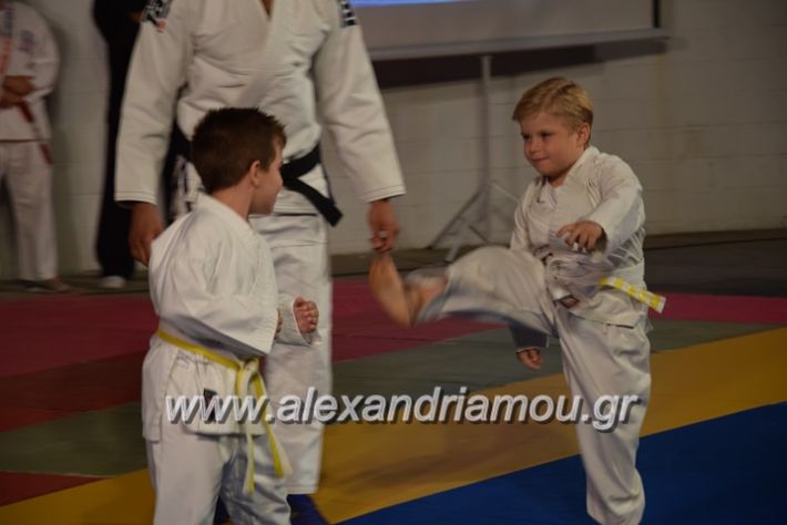 alexandriamou.gr_karate06053