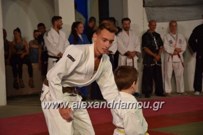 alexandriamou.gr_karate06055