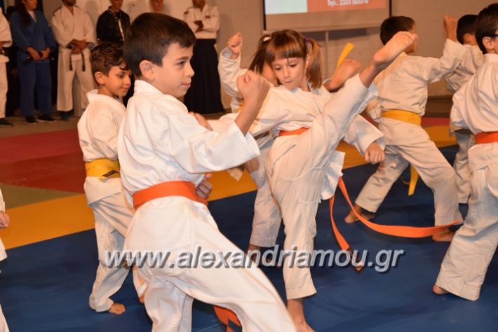 alexandriamou.gr_karate06062