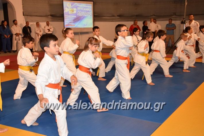 alexandriamou.gr_karate06063