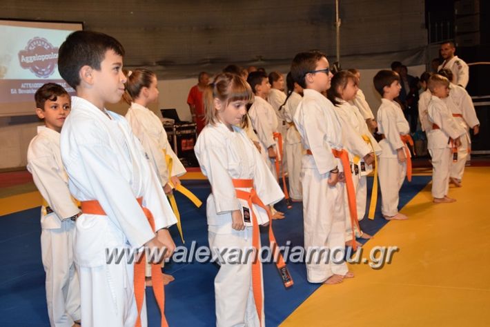 alexandriamou.gr_karate06065