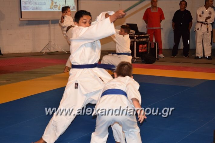 alexandriamou.gr_karate06066