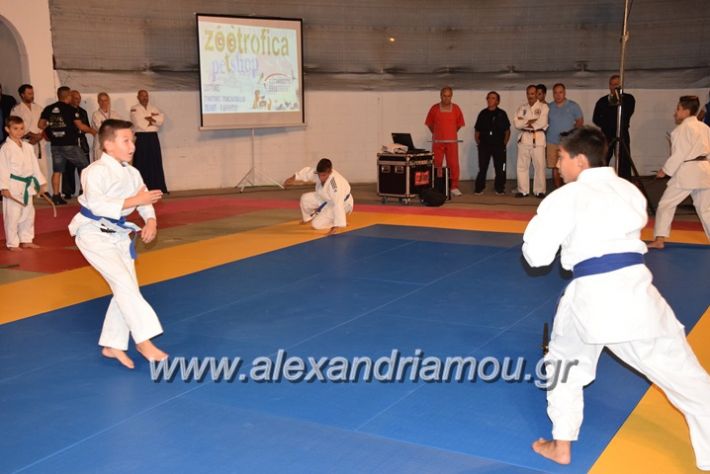 alexandriamou.gr_karate06067