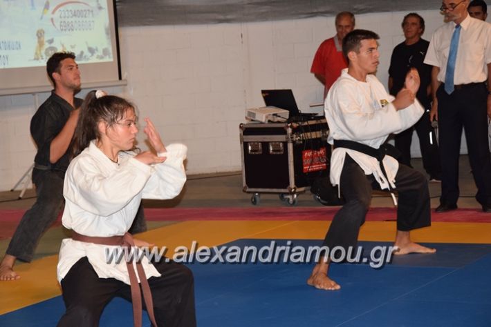 alexandriamou.gr_karate06069