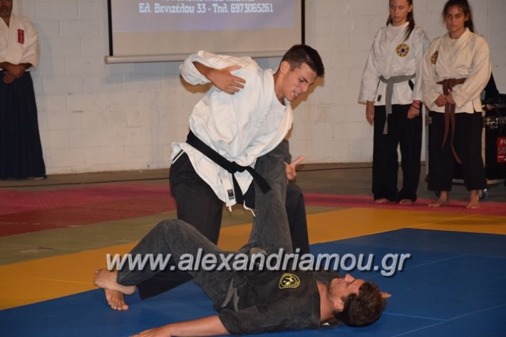 alexandriamou.gr_karate06070