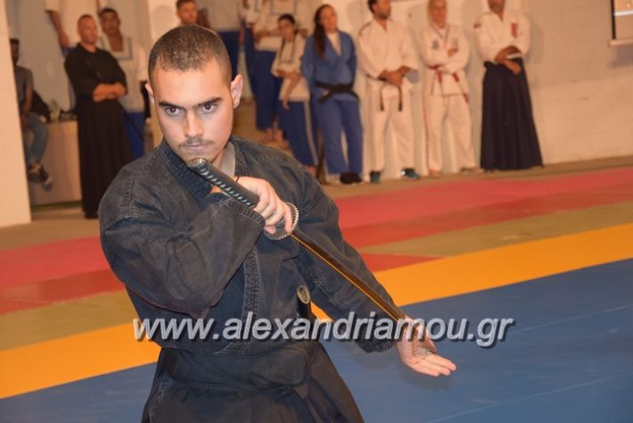 alexandriamou.gr_karate06078