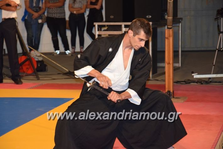 alexandriamou.gr_karate06083