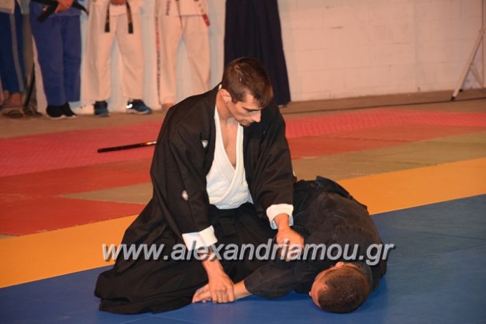 alexandriamou.gr_karate06086