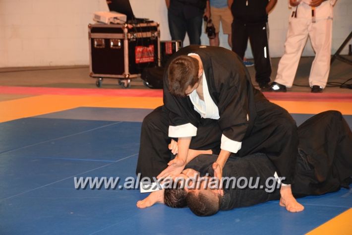 alexandriamou.gr_karate06087