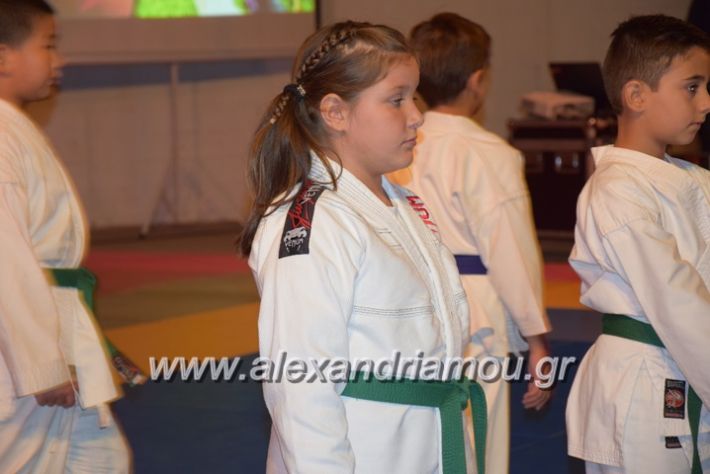 alexandriamou.gr_karate06088