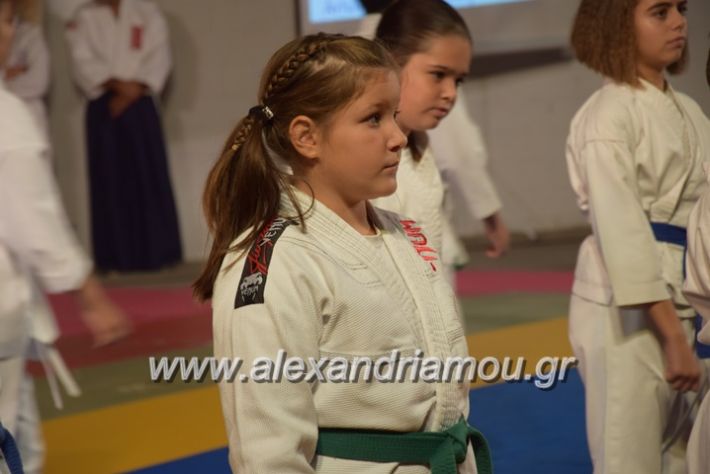alexandriamou.gr_karate06089