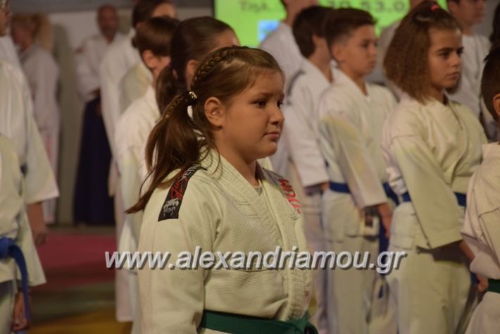 alexandriamou.gr_karate06091