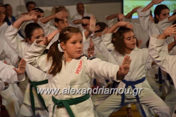 alexandriamou.gr_karate06095