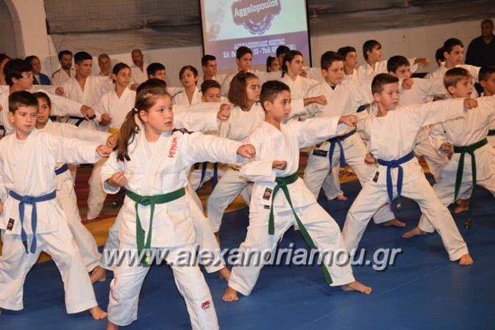 alexandriamou.gr_karate06098