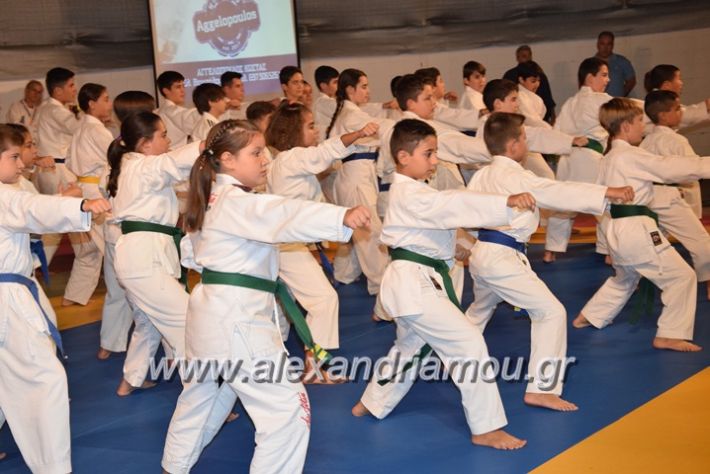 alexandriamou.gr_karate06099