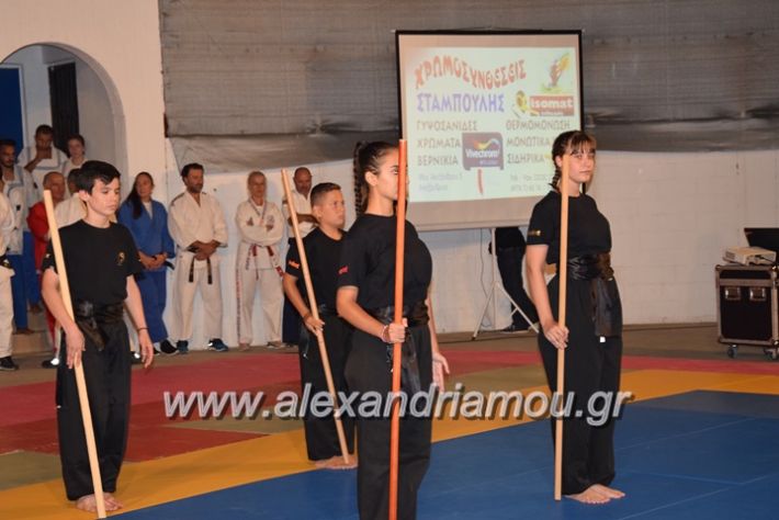 alexandriamou.gr_karate06100