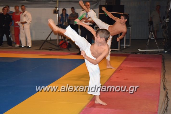 alexandriamou.gr_karate06125