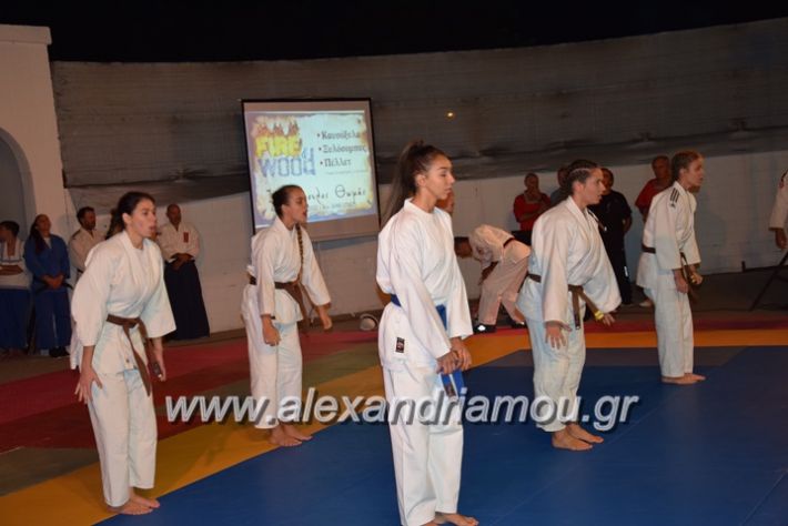 alexandriamou.gr_karate06147