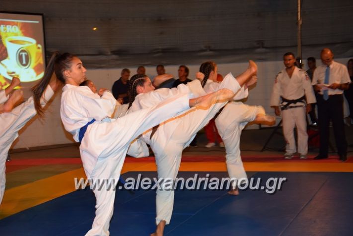 alexandriamou.gr_karate06148