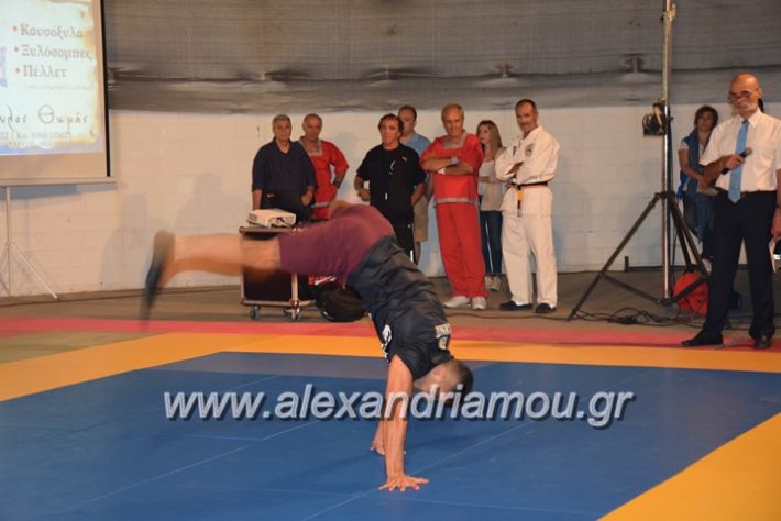 alexandriamou.gr_karate06150