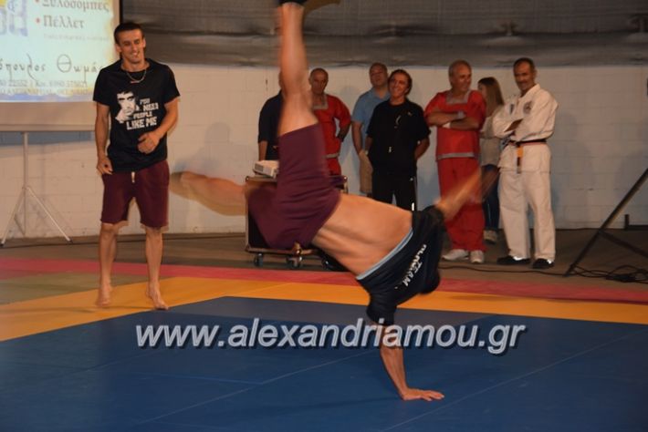 alexandriamou.gr_karate06151