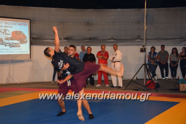 alexandriamou.gr_karate06152