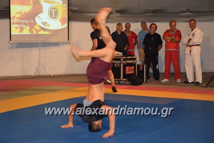 alexandriamou.gr_karate06153